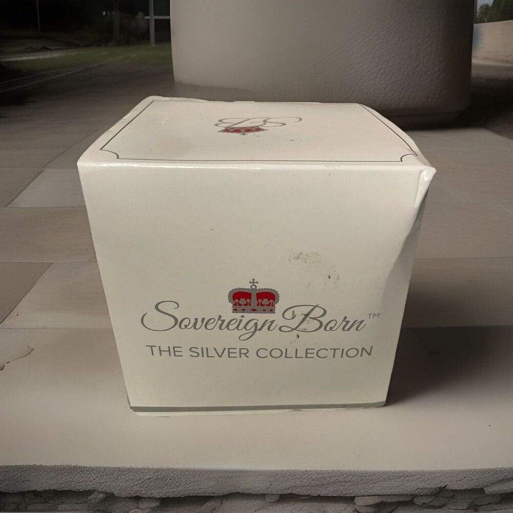 Sovereign Born The Silver Collection Silver Single Piece Pacifier with Case